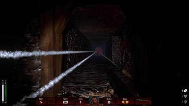 Darkenstein 3D