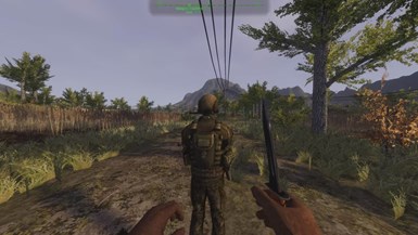 Dagger Directive